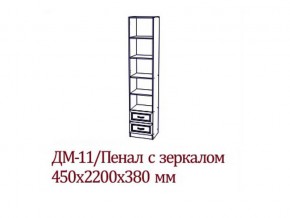 ДМ-11 Пенал с зеркалом в Горнозаводске - gornozavodsk.магазин96.com | фото