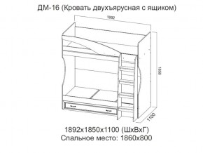 ДМ-16 Кровать двухъярусная с ящиком в Горнозаводске - gornozavodsk.магазин96.com | фото