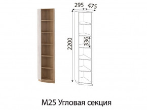 М25 Угловая секция в Горнозаводске - gornozavodsk.магазин96.com | фото