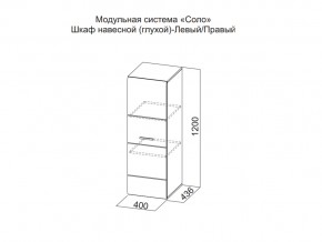 Шкаф навесной (глухой) Левый в Горнозаводске - gornozavodsk.магазин96.com | фото