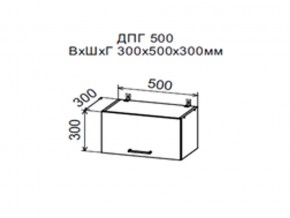 Шкаф верхний ДПГ500 горизонтальный в Горнозаводске - gornozavodsk.магазин96.com | фото