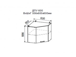 Шкаф верхний ДПУ600 угловой в Горнозаводске - gornozavodsk.магазин96.com | фото