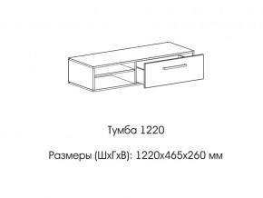 Тумба 1220 (низкая) в Горнозаводске - gornozavodsk.магазин96.com | фото