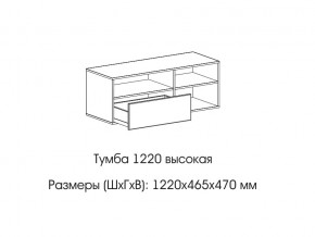 Тумба 1220 (высокая) в Горнозаводске - gornozavodsk.магазин96.com | фото